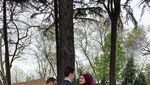 Emirgan Korusu, Taman Bunga Tulip Terbesar di Turki