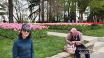 Emirgan Korusu, Taman Bunga Tulip Terbesar di Turki