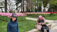 Kawan seperjalanan dengan latar belakang bunga Tulip berwarna merah muda