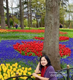 Emirgan Korusu, Taman Bunga Tulip Terbesar di Turki