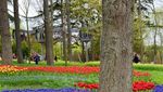 Emirgan Korusu, Taman Bunga Tulip Terbesar di Turki