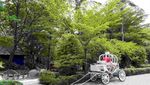 Fauna Land Ancol, Rasanya Seperti di Hutan