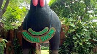 Ada pertunjukan binatang