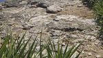 Fenomena Air Mata Iblis di Bali