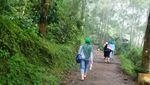 Fenomena Alam Unik di Coban Pelangi