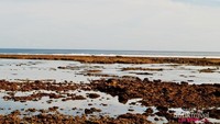 Karang-karang indah di kala air pantai surut