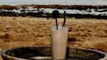 Finns Beach Club yang Menawan di Ungasan, Bali