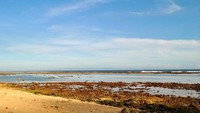 Pantai Finn