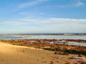 Finns Beach Club yang Menawan di Ungasan, Bali