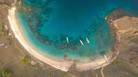 Pantai pink di Pulau Komodo