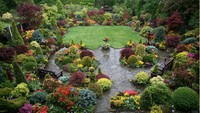 Kebun saat musim semi (Four Seasons Garden)
