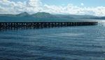 Gagal Bertemu Buaya Penunggu Danau Sentani