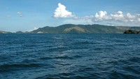Air yang cukup tenang dan dalam menjadi tempat favorit buaya di Danau Sentani (foto:Keken/detikTravel)
