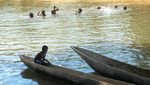 Gagal Bertemu Buaya Penunggu Danau Sentani