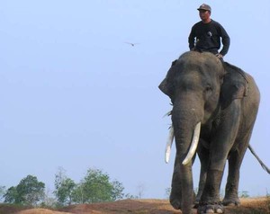 Gajah-gajah Lucu di Way Kambas
