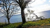 Di sepanjang perjalanan menuju pantai ini kamu menemuka objek foto yang cantik seperti ini