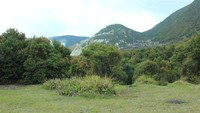 Gunung Papandayan (Ambo Arphegio/dtraveler)