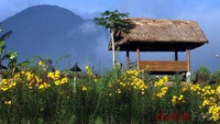 Suasana Garut yang tenang dan ala Swiss (Ari Saputra/detikFoto)