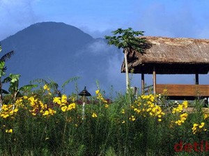 Garut, Swiss Van Java
