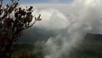 Gede-Pangrango, dari Edelweiss Sampai Kisah Prabu Siliwangi