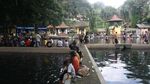 Geli-geli Sedap! Terapi Ikan di Kolam Cigugur
