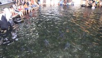 Merendam kaki ramai-ramai di Kolam Cigugur