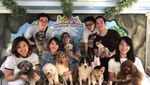Gemasnya Anjing-Anjing Di Rumah Guguk Lembang Bandung