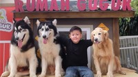 Anjing di rumah Anjing Bandung