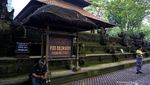 Gemasnya Monyet di Ubud Monkey Forest