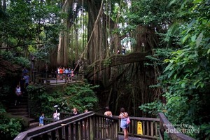 Gemasnya Monyet di Ubud Monkey Forest