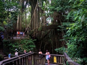 Gemasnya Monyet di Ubud Monkey Forest