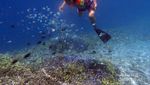 Gili Kondo, Satu Lagi yang Eksotis di Lombok
