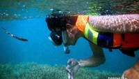 Snorkeling di Gili Kondo