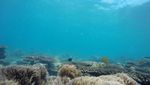 Gili Labak, Keindahan Pantai & Bawah Laut Madura