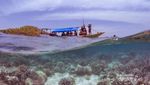 Gili Noko, Si Cantik dari Jawa Timur