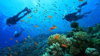 Banyak terdapat spot diving dan snorkeling