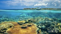 Keindahan bawah laut di Gili Trawangan
