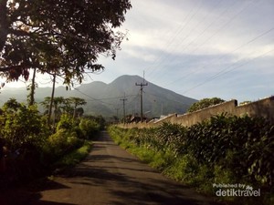 Glamping Unik di Bogor, Ini Tempatnya!