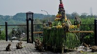 Sesaji Rewanda Goa Kreo dan Kera-kera yang Bersetia Pada Sunan Kalijaga