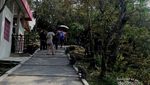 Goa Kreo dan Kisah Kera Yang Setia