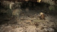 Ruangan Goa Raminan yang semakin ke ujung semakin kecil