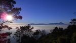 Golden Sunrise & Lautan Awan yang Menawan di Puncak Panderman