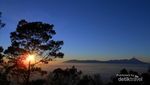 Golden Sunrise & Lautan Awan yang Menawan di Puncak Panderman
