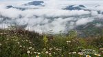 Golden Sunrise Juara ada di Gunung Prau, Dieng