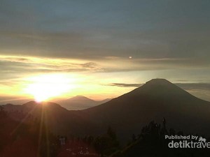 Golden Sunrise Sikunir, Si Kuning yang Masih Terus Diburu