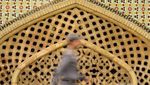Golestan Palace, Inilah Istananya Raja-Raja Persia
