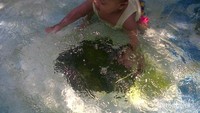 Asyiknya belajar berenang di Green Park