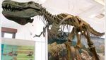 Grrr! Ada T-Rex di Museum Geologi Bandung
