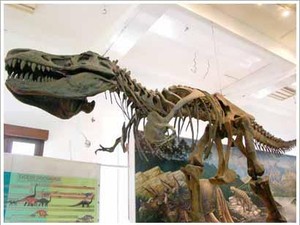Grrr! Ada T-Rex di Museum Geologi Bandung