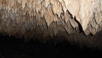 Deretan Stalagtit yang masih terus hidup